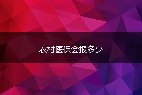 农村医保会报多少
