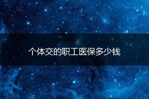 个体交的职工医保多少钱