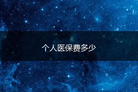 个人医保费多少