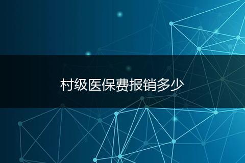 村级医保费报销多少
