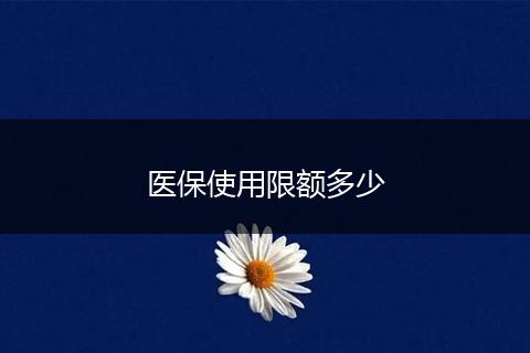 医保使用限额多少