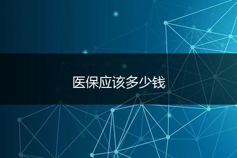 医保应该多少钱
