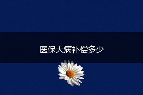 医保大病补偿多少