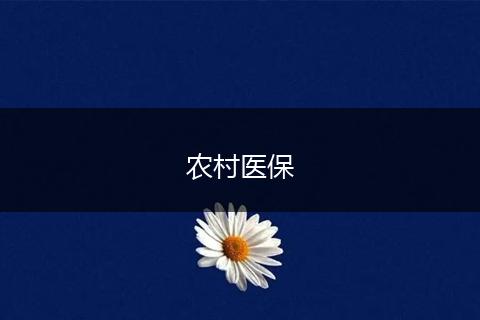 农村医保