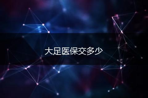 大足医保交多少