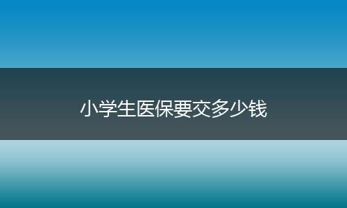 小学生医保要交多少钱