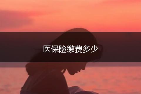医保险缴费多少