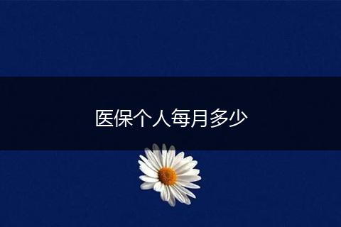 医保个人每月多少
