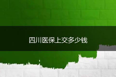 四川医保上交多少钱