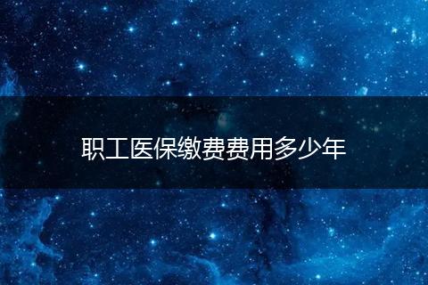 职工医保缴费费用多少年
