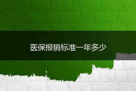 医保报销标准一年多少