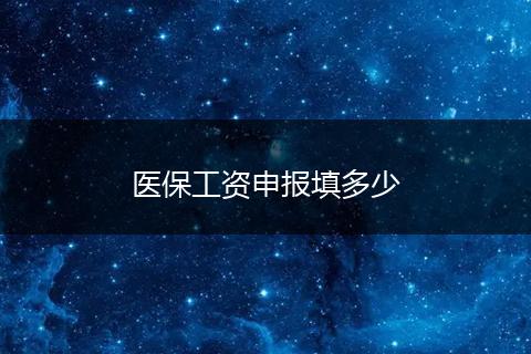 医保工资申报填多少