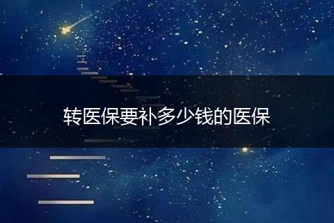 转医保要补多少钱的医保