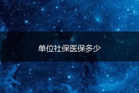 单位社保医保多少