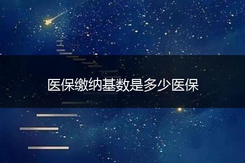 医保缴纳基数是多少医保