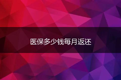 医保多少钱每月返还