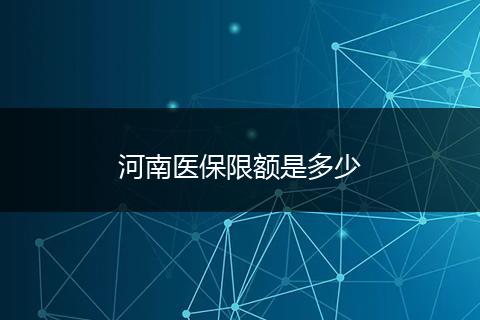 河南医保限额是多少