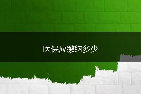 医保应缴纳多少