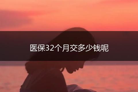 医保32个月交多少钱呢