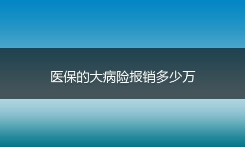 医保的大病险报销多少万