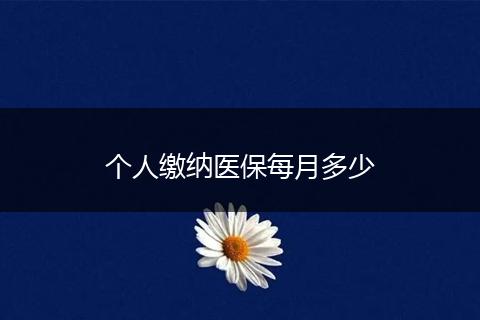 个人缴纳医保每月多少