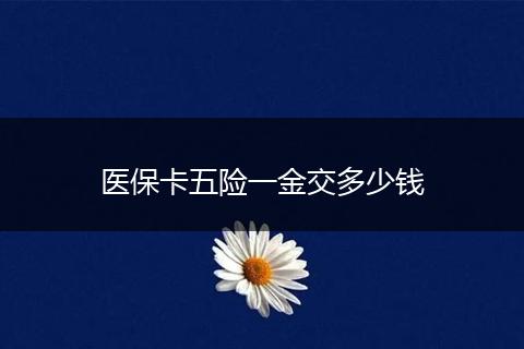 医保卡五险一金交多少钱