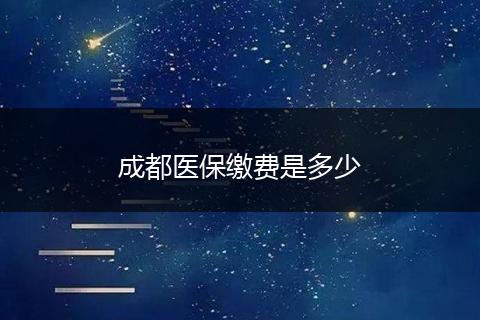 成都医保缴费是多少