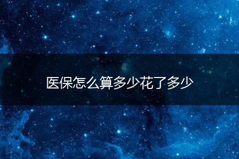 医保怎么算多少花了多少
