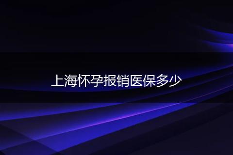 上海怀孕报销医保多少