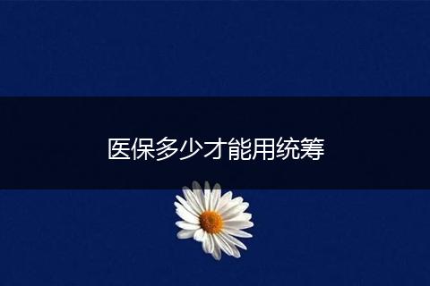 医保多少才能用统筹