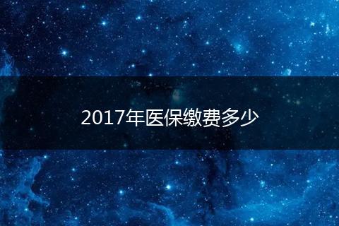 2017年医保缴费多少