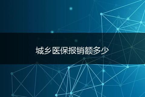城乡医保报销额多少