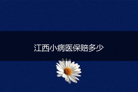 江西小病医保赔多少