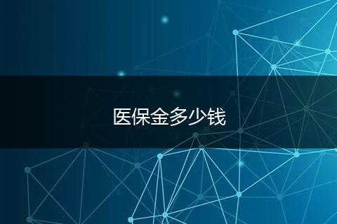 医保金多少钱