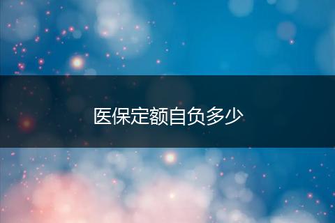 医保定额自负多少