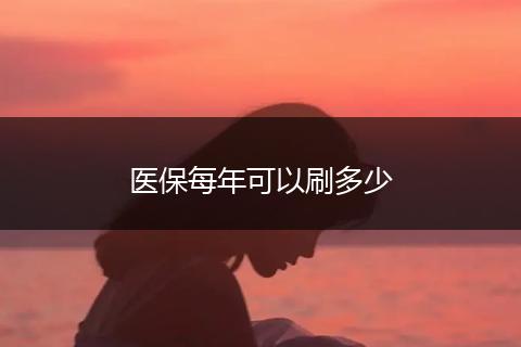 医保每年可以刷多少