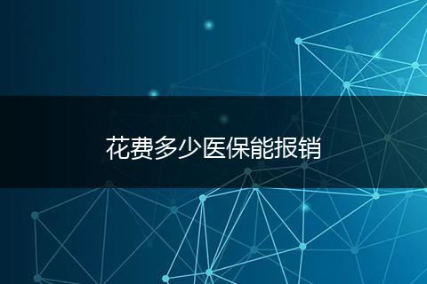 花费多少医保能报销
