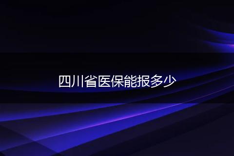 四川省医保能报多少