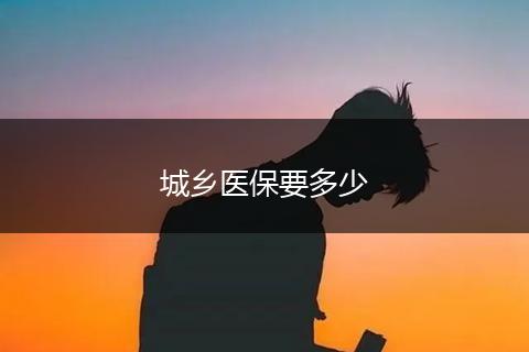 城乡医保要多少