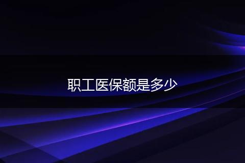 职工医保额是多少