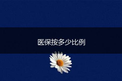 医保按多少比例