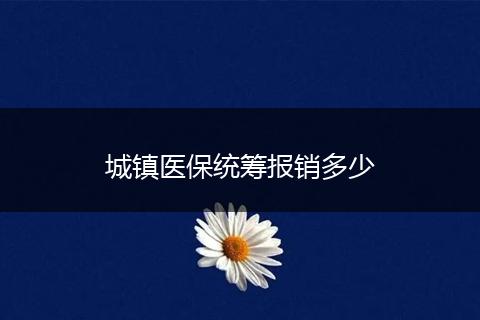 城镇医保统筹报销多少