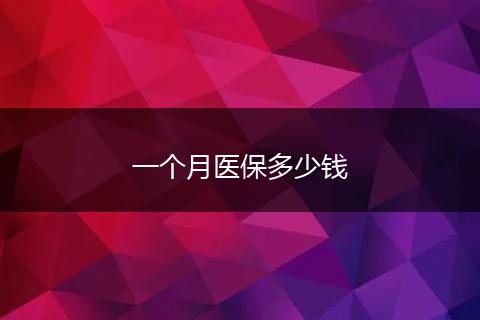 一个月医保多少钱