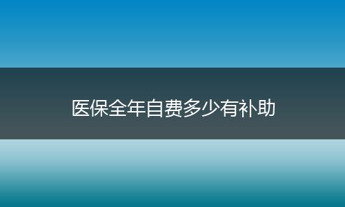 医保全年自费多少有补助