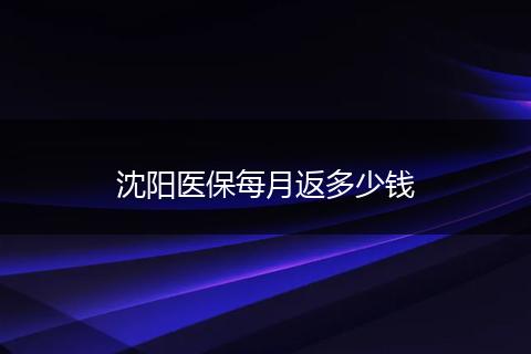 沈阳医保每月返多少钱