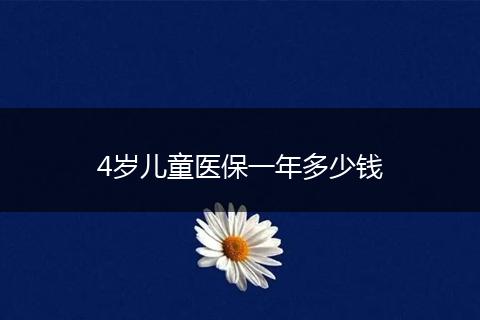 4岁儿童医保一年多少钱