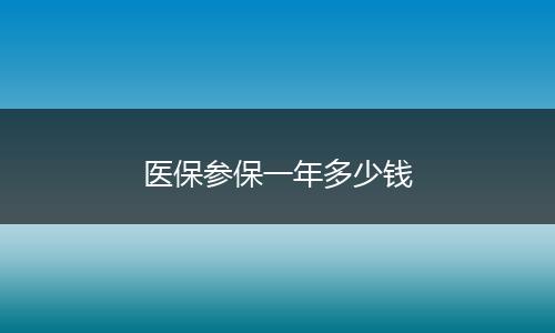 医保参保一年多少钱