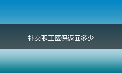 补交职工医保返回多少