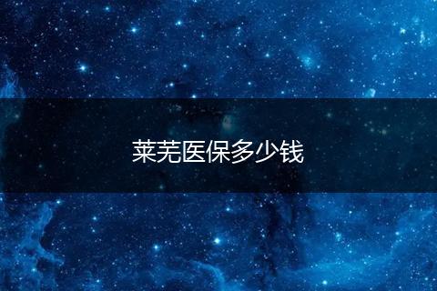 莱芜医保多少钱