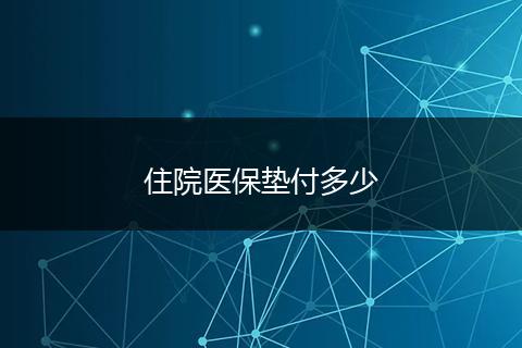 住院医保垫付多少